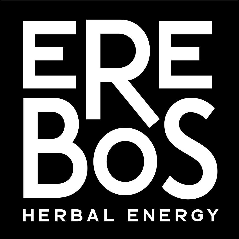 erebros-logo